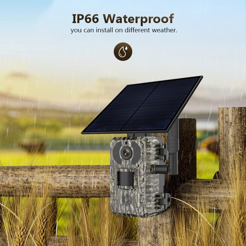 4G 4MP açık yaban hayatı avcıl - Hunting Outdoor Game incelemesi ve fiyatı