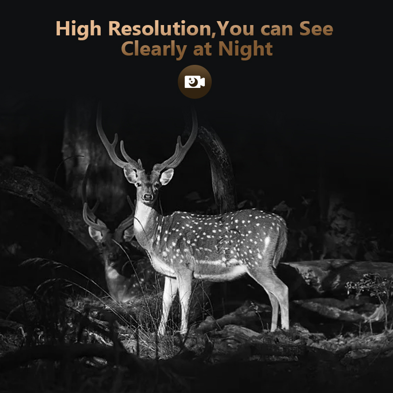 4G 4MP açık yaban hayatı avcıl - Hunting Outdoor Game incelemesi ve fiyatı