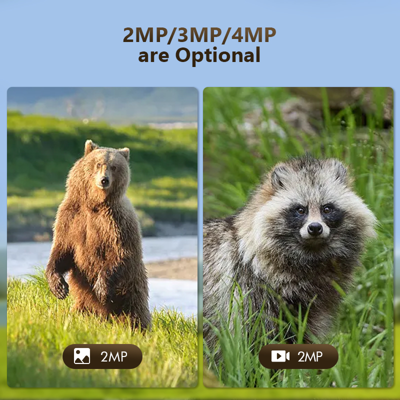 4G 4MP açık yaban hayatı avcıl - Hunting Outdoor Game incelemesi ve fiyatı